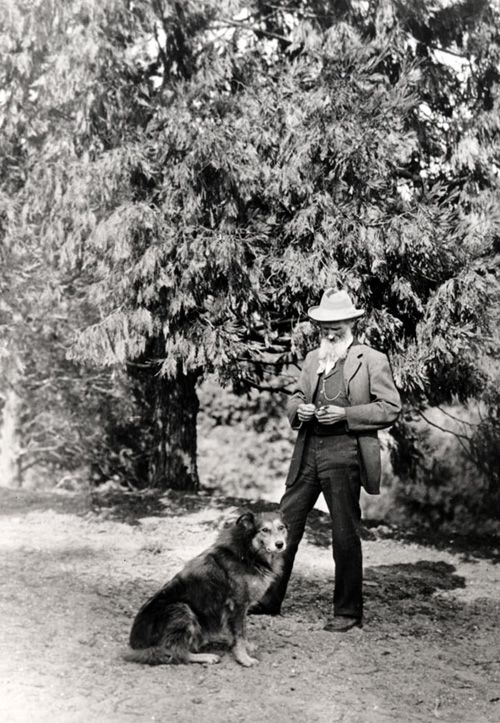 johnmuirdog